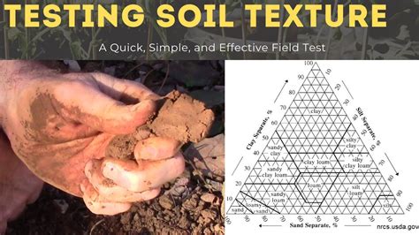 soil ribbon testing